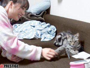 鈴村あいり 密着 かわいい 猫